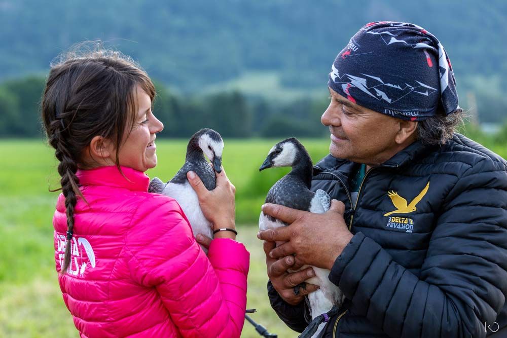 Oiseaux migrateurs en Haute Savoie