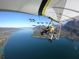 ULM qui survole le lac d'Annecy avec des oiseaux